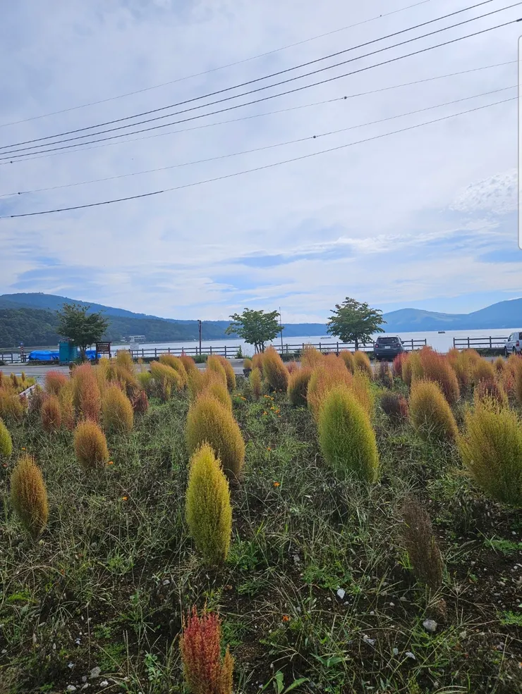 一下公車山中湖就在眼前