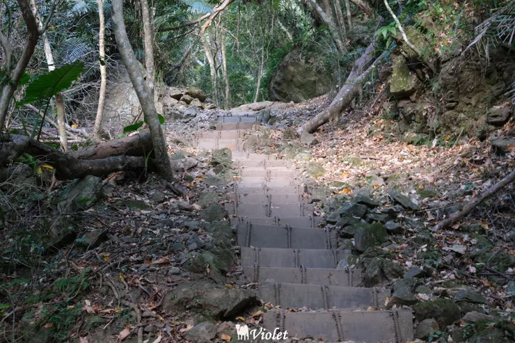 錐麓古道上山途中