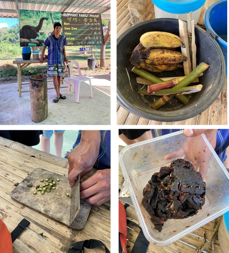 Kerchor大象生態公園。