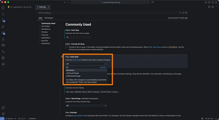 VS Code auto save setting.jpg