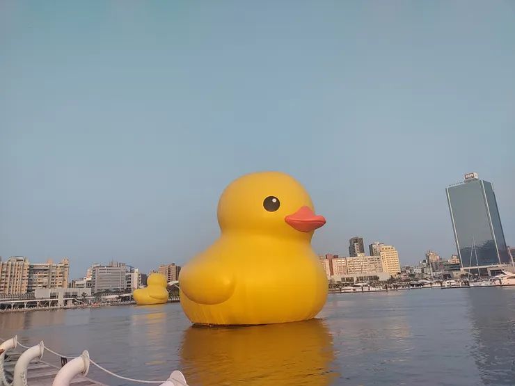 可愛的黃色小鴨