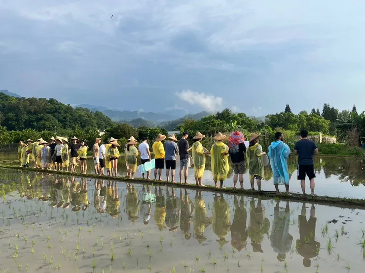 嘿對,我們在大雨過後下田插秧,一個人負責三排秧苗,真的有夠荒謬哈哈哈!