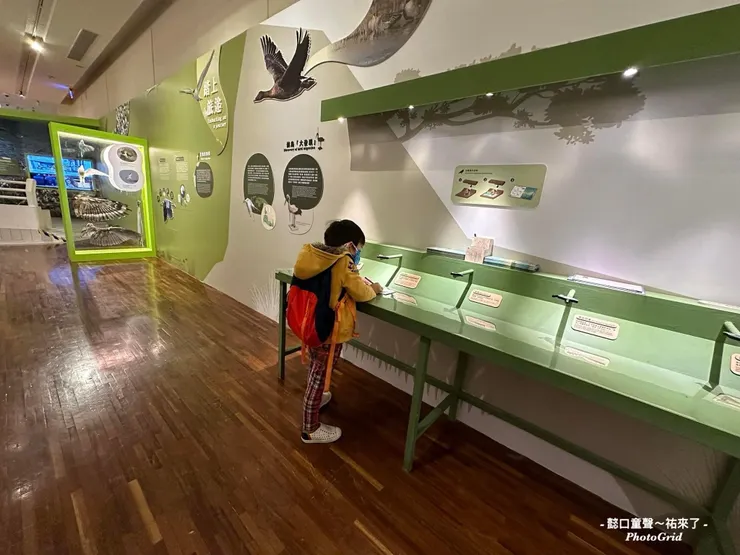 剛好很適合五歲孩子的高度。