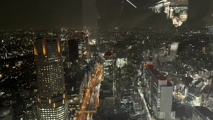 無盡的東京也讓這片景更美麗。