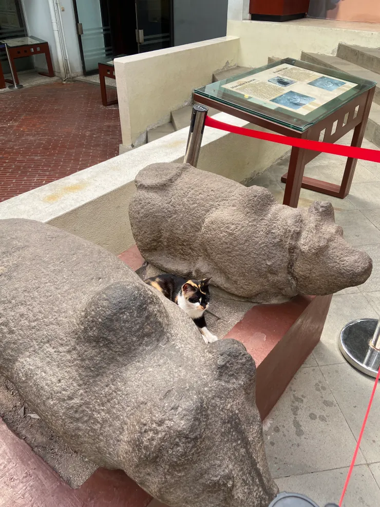 印度神話中的神牛Nandi是濕婆神的坐騎，據信是西元4-14世紀在西爪哇地區印度教-佛教時期留下的文物。（黑貓覺得讚）