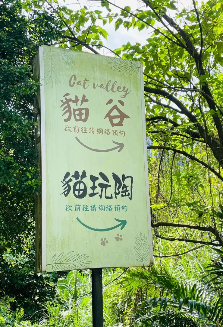 『貓谷』地址:新北市新店區雙城路175號之三
