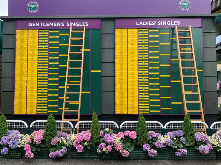 綠綠又紫紫就是溫布頓