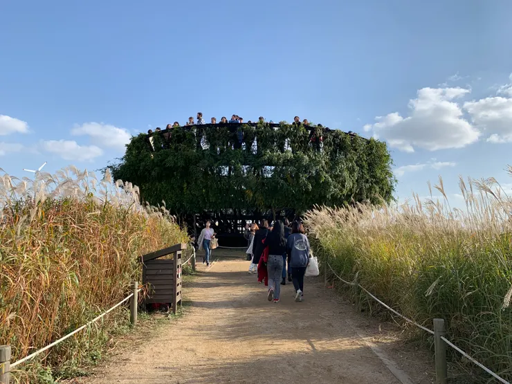 最有名的南側觀景台：하늘을 담는 그릇 - 희망전망대