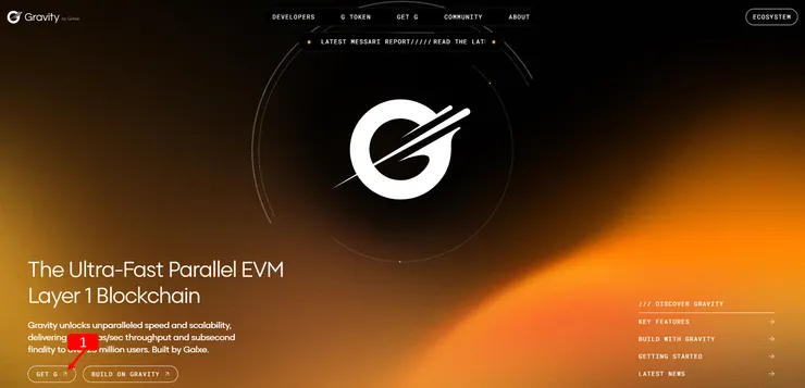 Gravity Alpha 主網 .g 域名註冊教學:免費一年+空投機會?