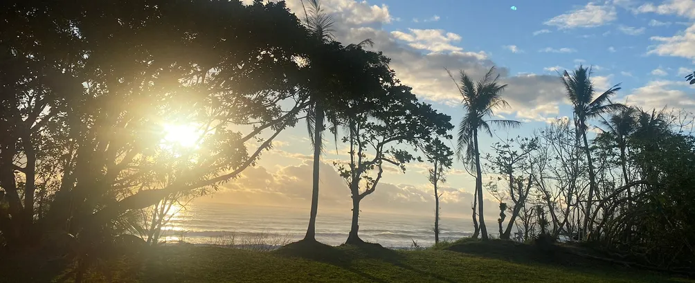 艾薇的微觀視界