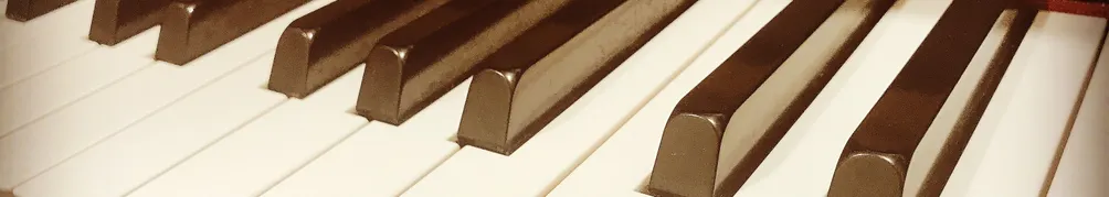 水星草 S.的沙龍