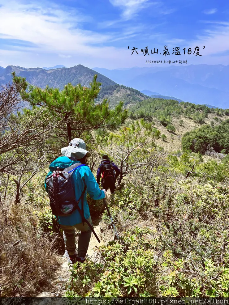 【丹大林道.六順山.七彩湖】六順山.海拔3009公尺/波波草