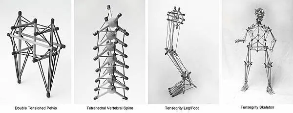 身體是一個整體的張力結構狀態,牽一髮而動全身