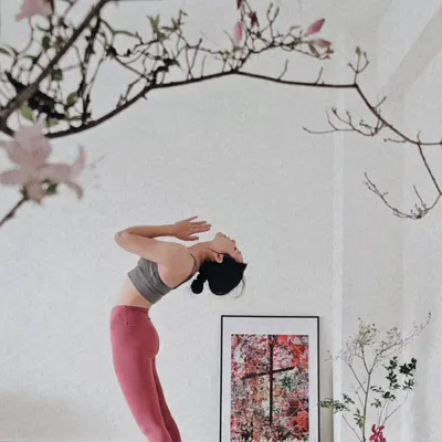 荒野棲所｜ARANO SORA YOGA