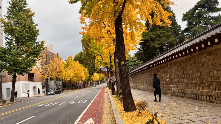 路上行走的上班族比遊客多