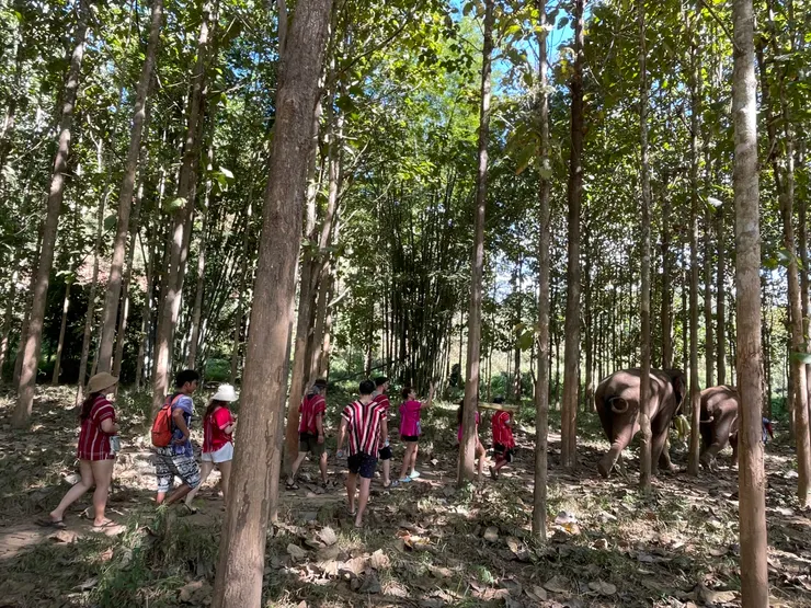 Kerchor大象生態公園。