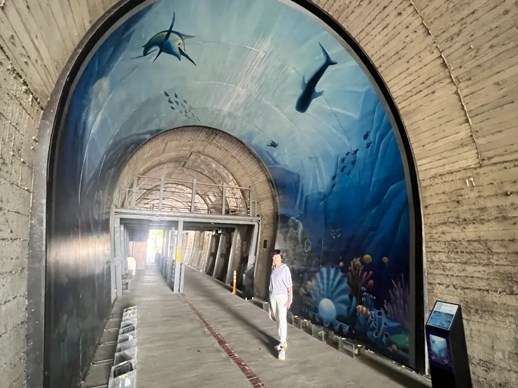 太陽光幫忙打亮但過曝了吧！