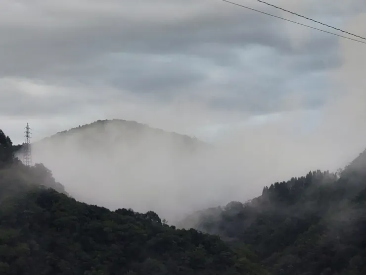 向上飄動的山嵐讓畫面很有「仙」氣