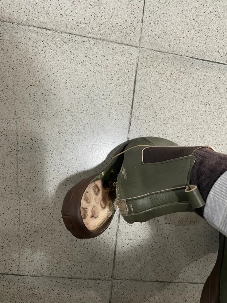 心愛的小靴鞋底脫膠，像鴨嘴般開合著。（作者拍攝）