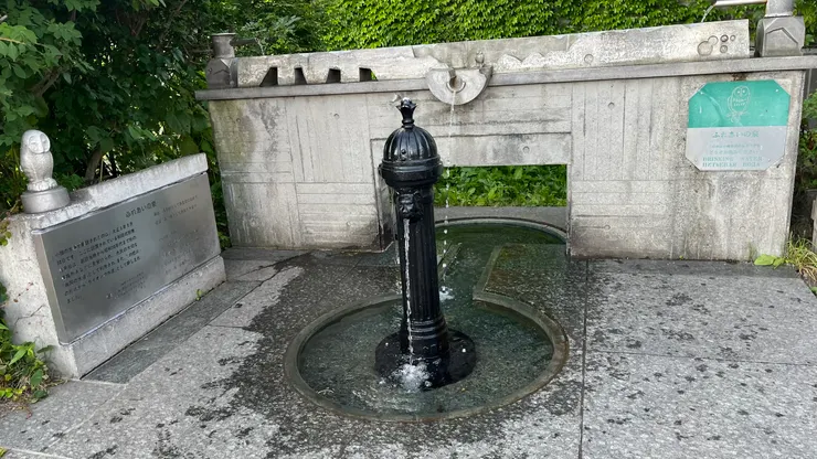 真的可以拿起來喝看看。