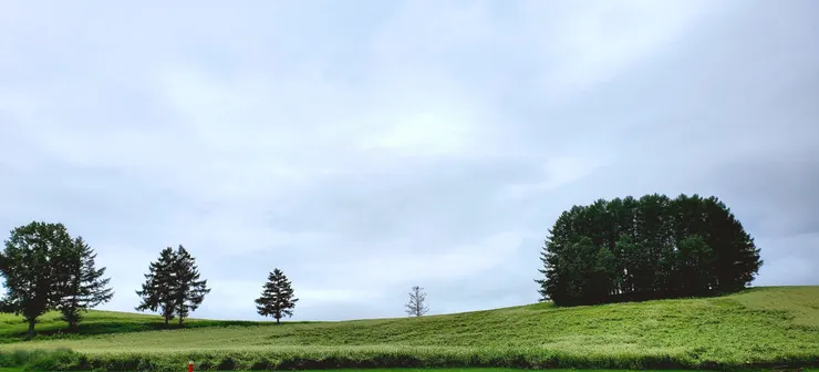 為了這個，多開了好遠，幾乎要放棄了