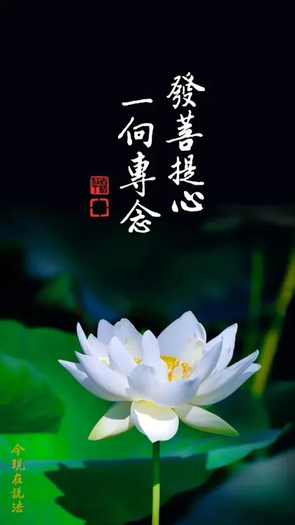 一向專念 阿彌陀佛 求生淨土