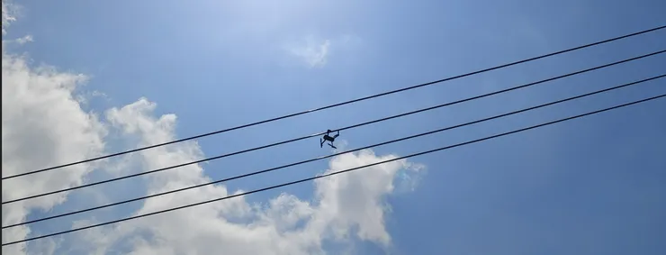 空拍機在荷蘭花海失事