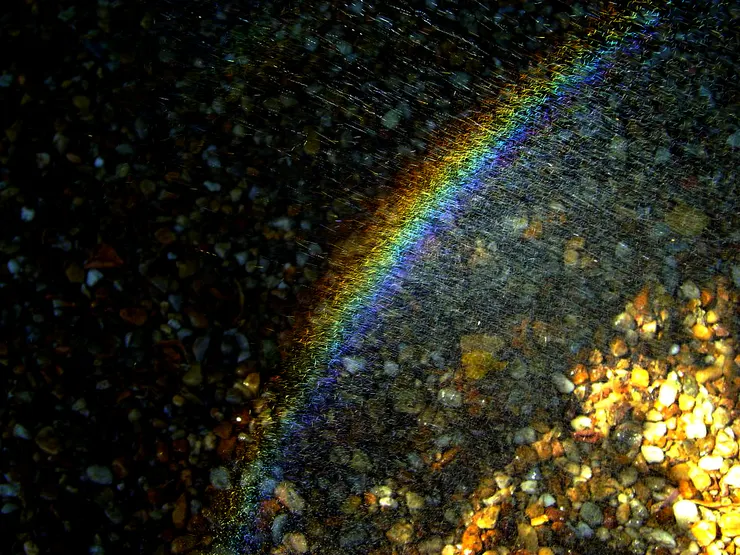 維基百科檔案照