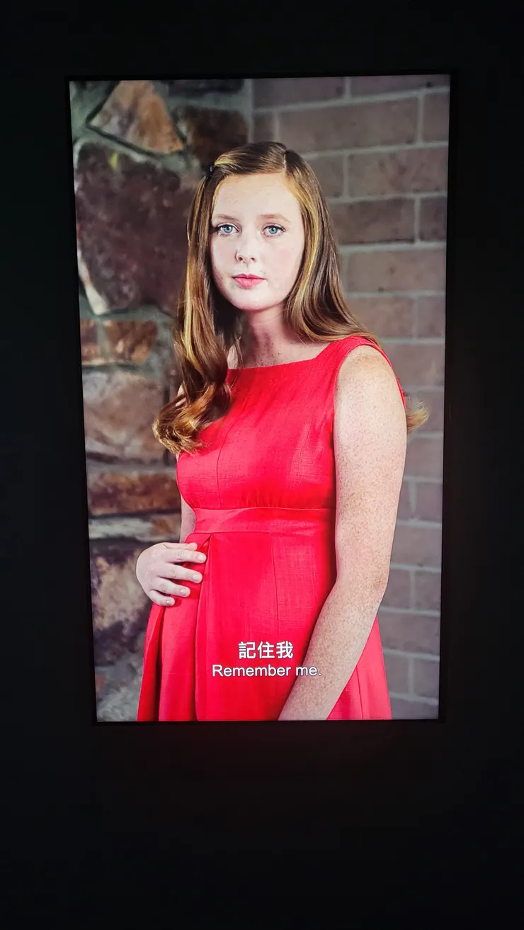 埃爾溫．奧拉夫（Erwin Olaf Springveld)原拍(李建崑翻拍)