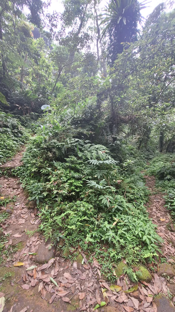 向上或向下