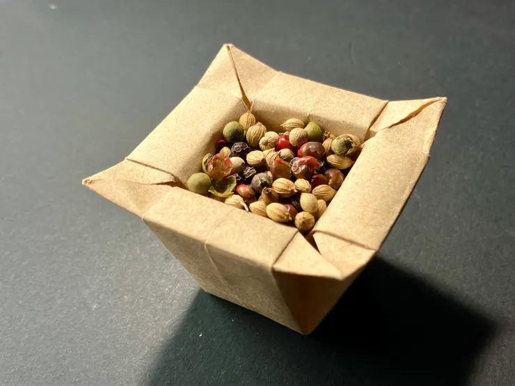 四瓣斗OPS與胡椒粒