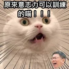 博君一笑