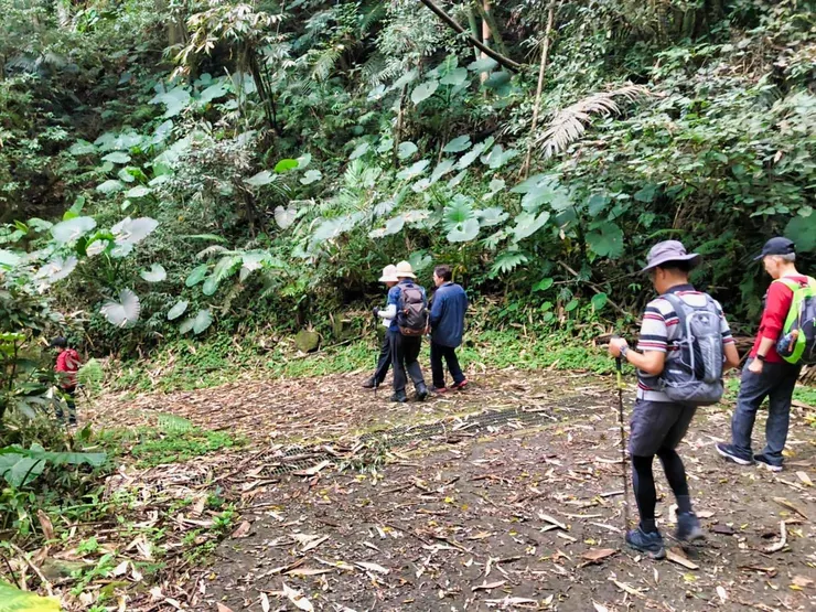 落葉遍地一副裊無人跡的樣子