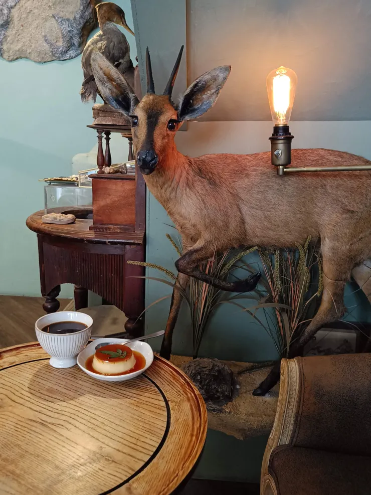 我的右手邊不到30公分處就是標本