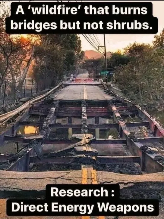 野火燒毀了橋樑，但灌木叢完美無損~ 研究：定向能武器