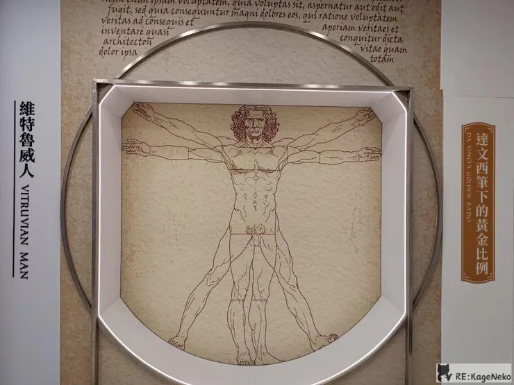 達文西黃金比例