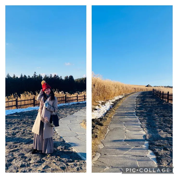 濟州島山君不離，藍天配一整片芒草，怎麼拍怎麼美！