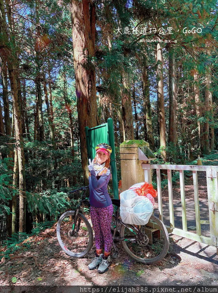 【大霸群峰4百岳。兩天一夜】觀霧大鹿林道東線騎越野單車/馬達