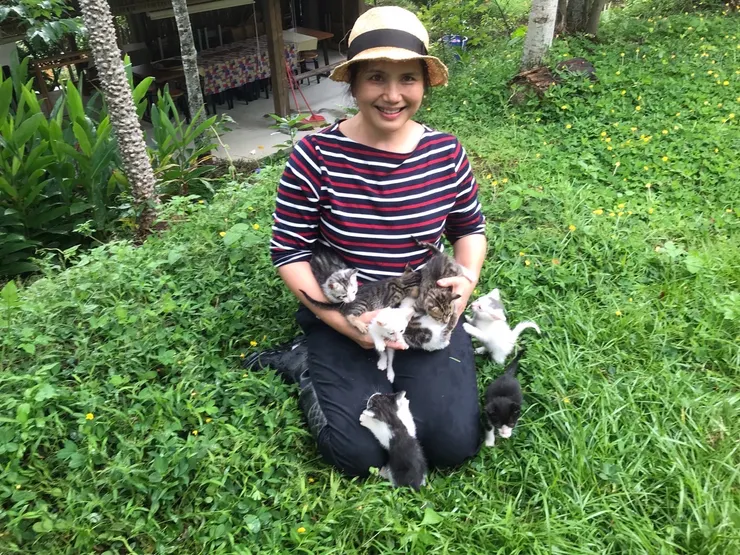 在山丘工作室的母親與貓孩子。