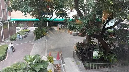 [台北美食]植物系、藝術視覺、網美拍攝並列店家，台灣特有吃法