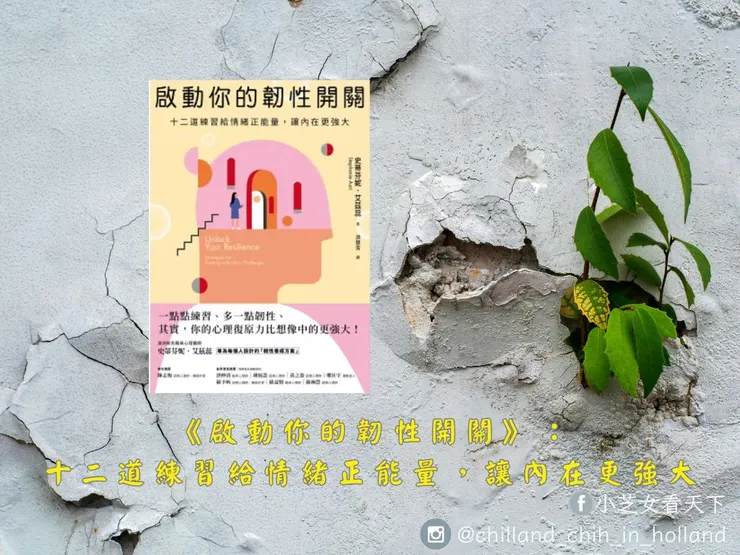 啟動你的韌性開關,圖片來自博客來