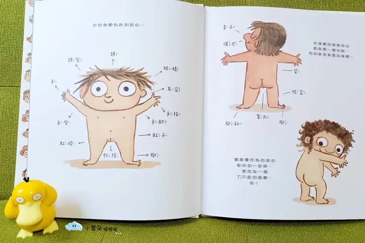 我們是身體各個部位組合起來的，每個部位有一種或多種功能。