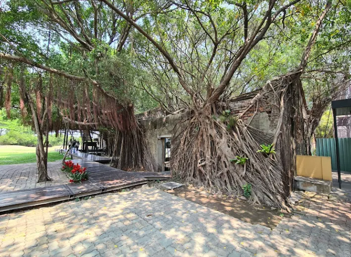 安平樹屋(擷取自google地圖)