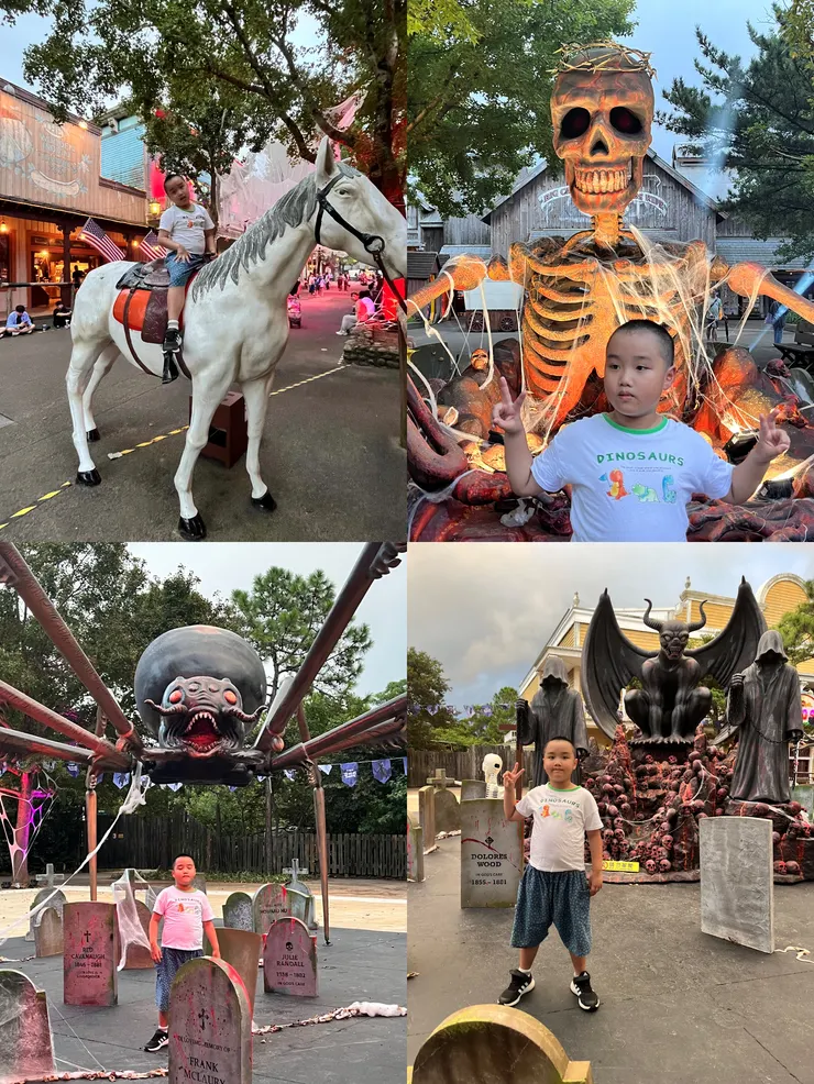 雙寶老爹006208定期定額記錄,2024年10月