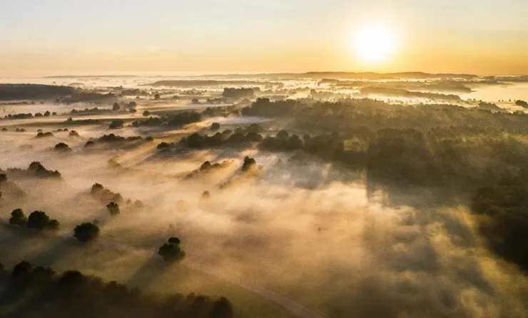 Photo by Michael Held on Unsplash