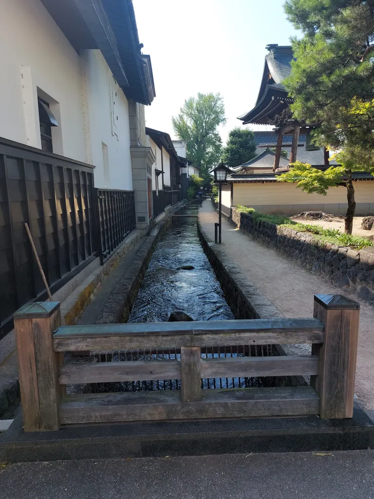 走在街區的小道路，旁邊緊鄰著瀨戶川和古色古香的房屋，右邊還有種植松樹，感覺十分愜意，途中還可以買魚飼料來餵魚