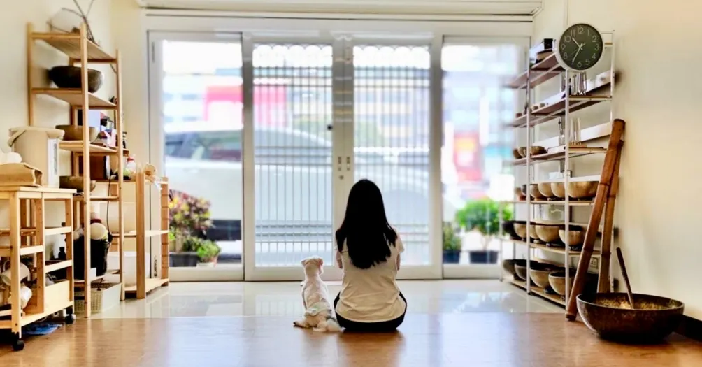 直覺溝通，看見自己的心 