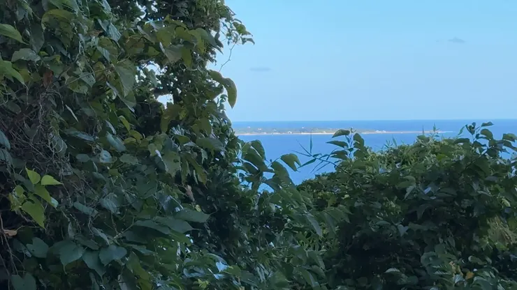 在齋場御嶽的門口有一個久高島遙拜所，可見久高島真的非常神聖。