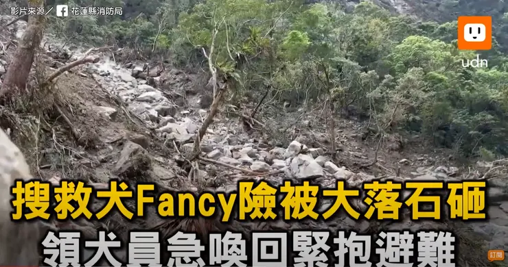 圖片截取自 udn video