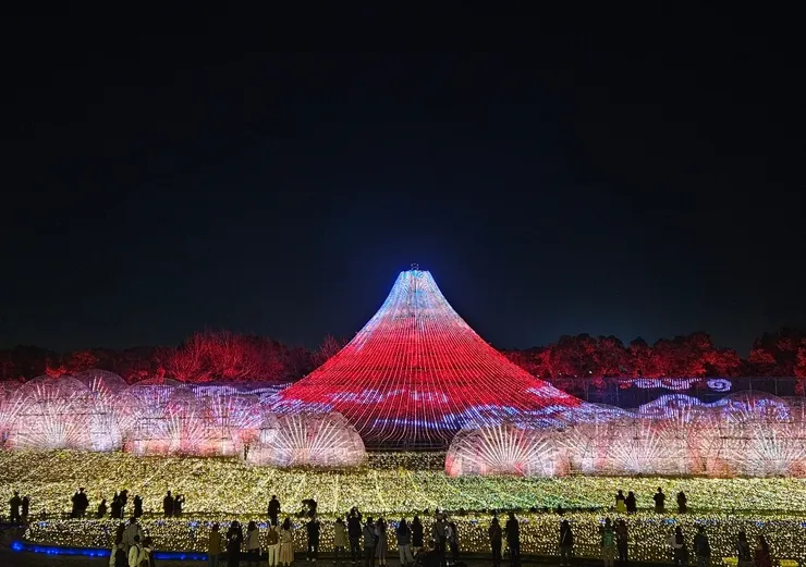 燈飾也可以直接站到展望台第一排